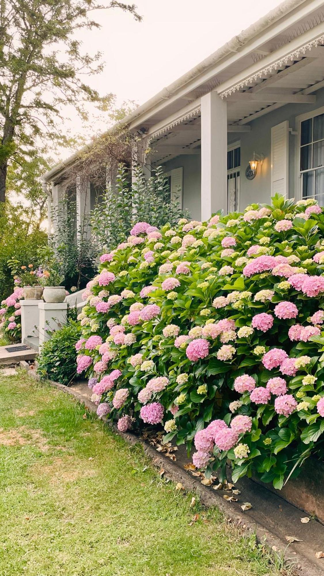 Rosehaven Cottage Swellendam Buitenkant foto